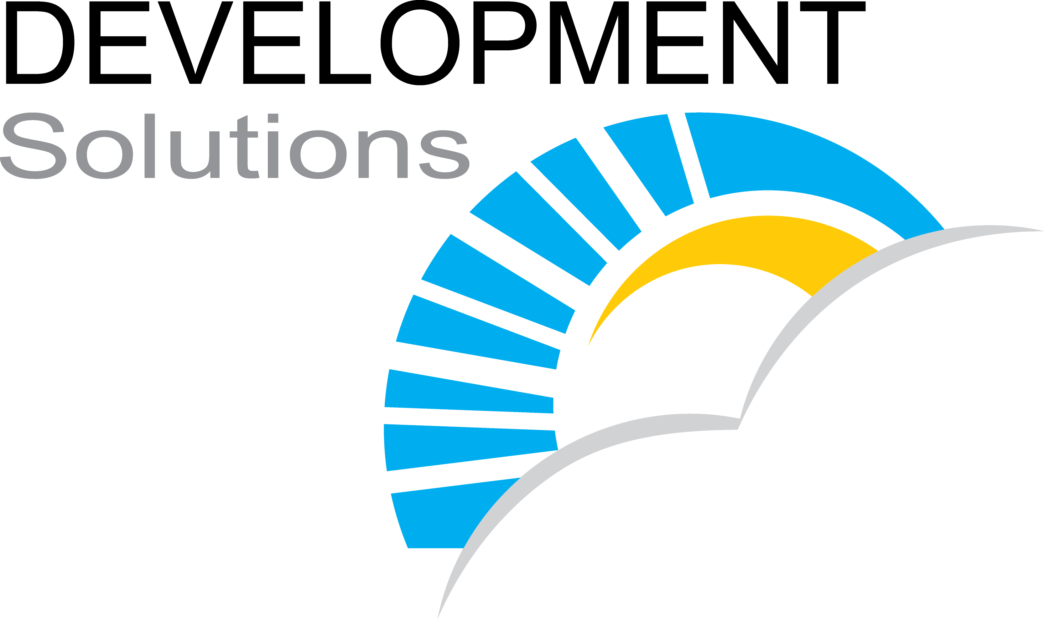 Activity Coordinator for specific IP rights-DEVELOPMENT Solutions (DS)