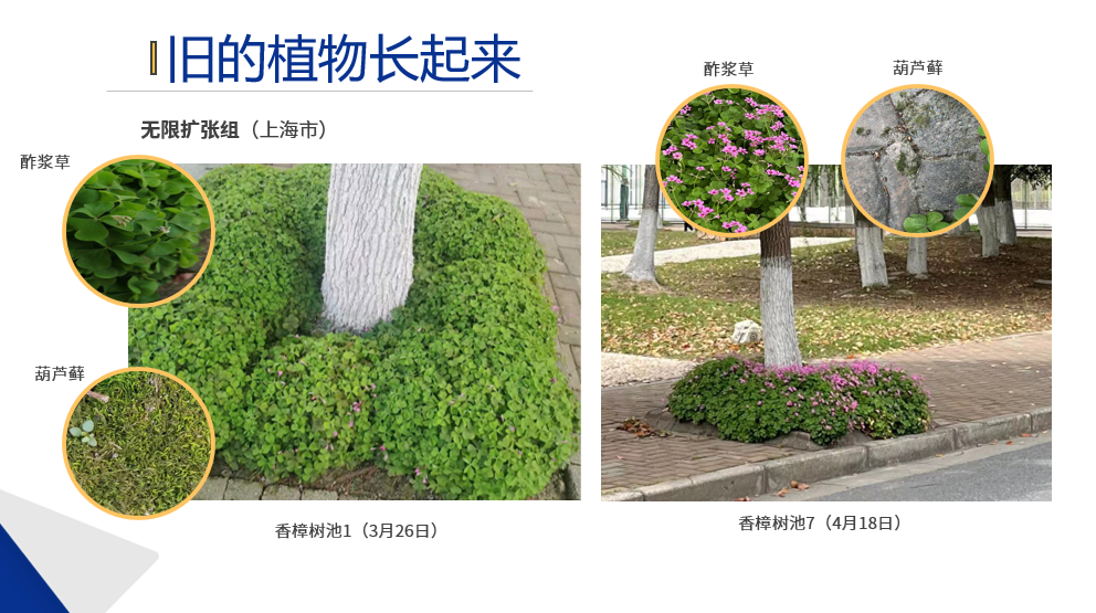 微信图片_20241008114855.png