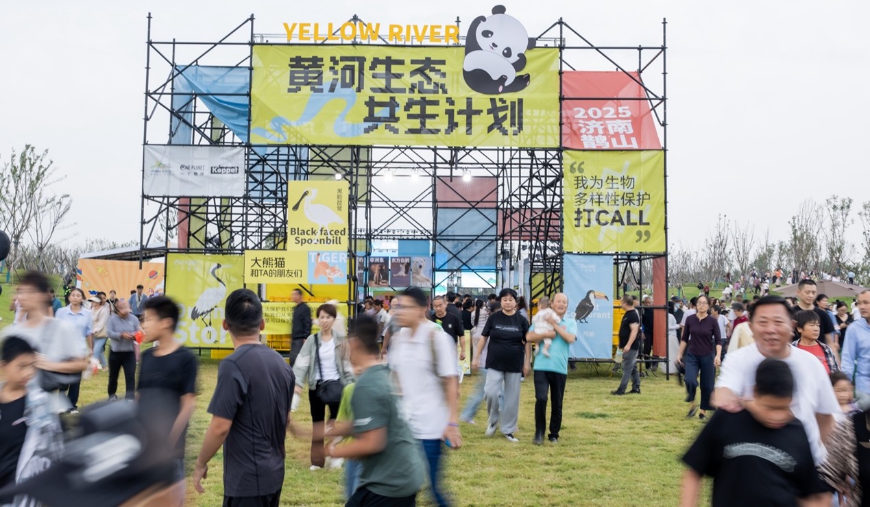 图片4.jpg 图片4.jpg