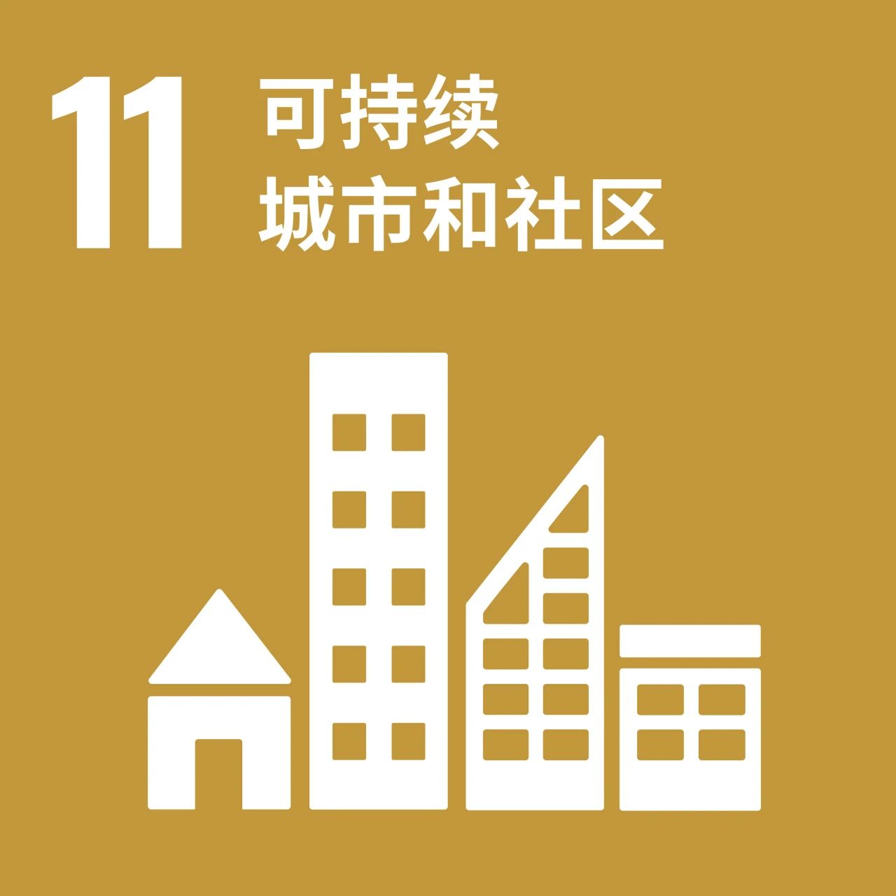 110.jpg