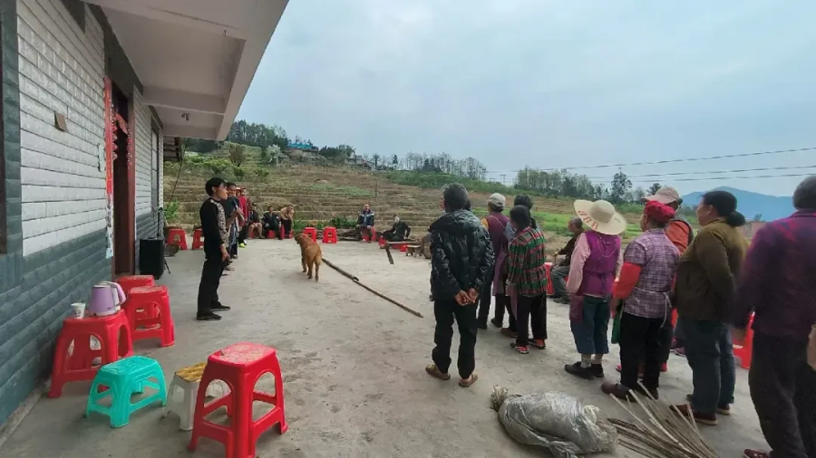 导出图片Tue Aug 19 2025 19_06_42 GMT+0800 (中国标准时间).png