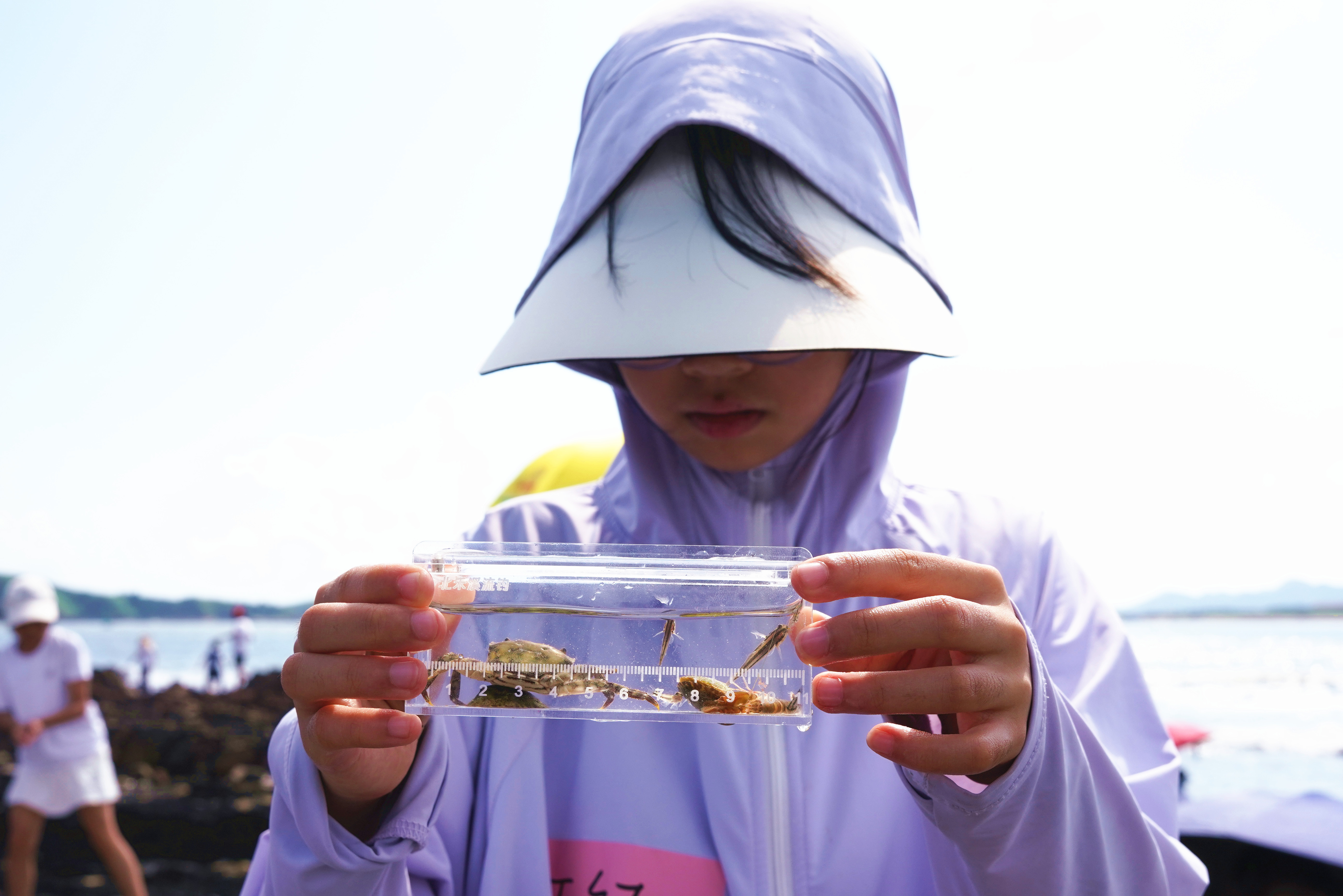 潮间带自然科普 (4)_副本.jpg