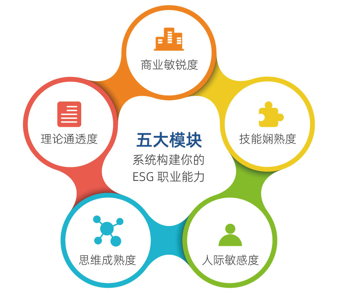 五度能力模型2.png
