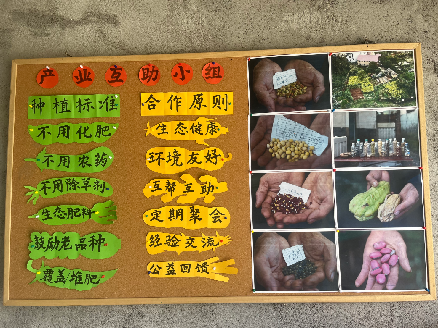 图片28.png